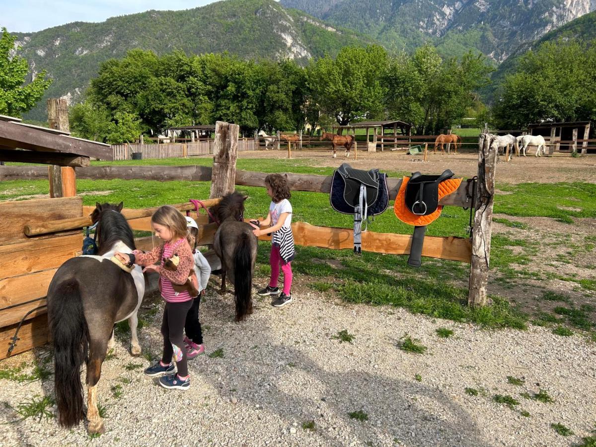 Agritur Airone Bed & Camping Levico Terme Ngoại thất bức ảnh