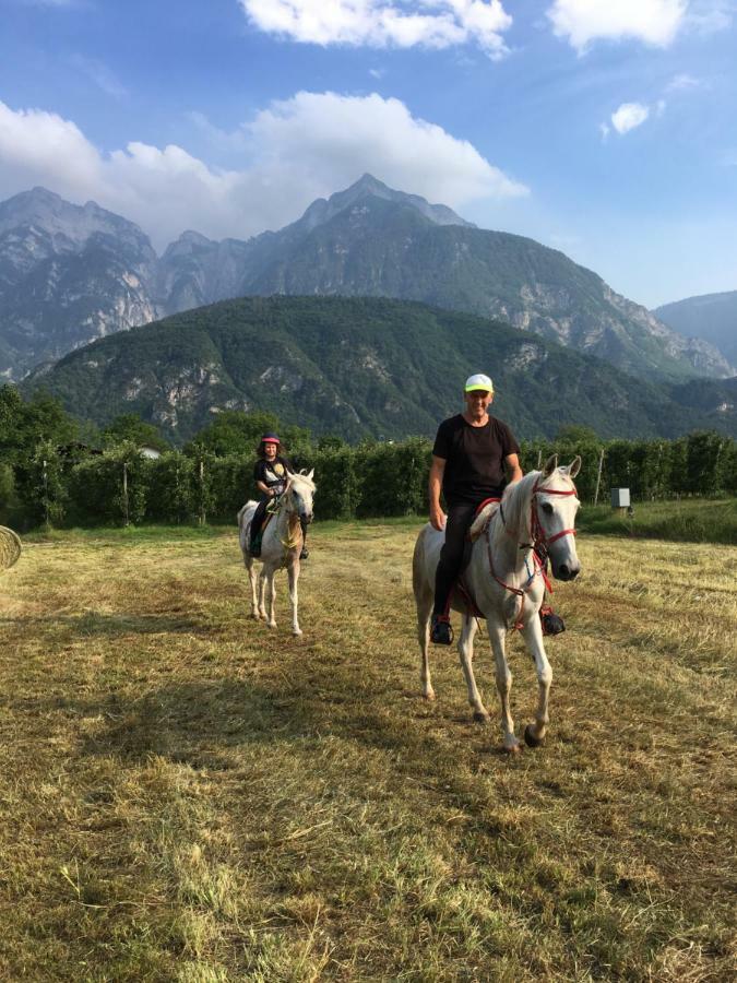 Agritur Airone Bed & Camping Levico Terme Ngoại thất bức ảnh